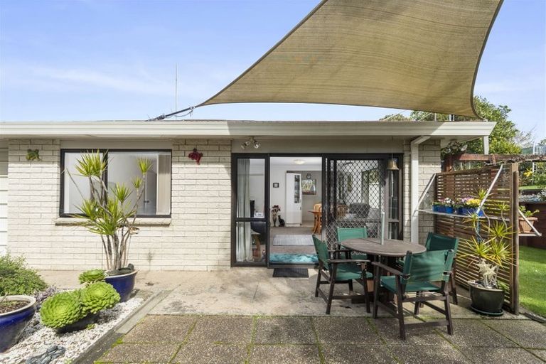 Photo of property in 175 Te Hono Street, Maungatapu, Tauranga, 3112