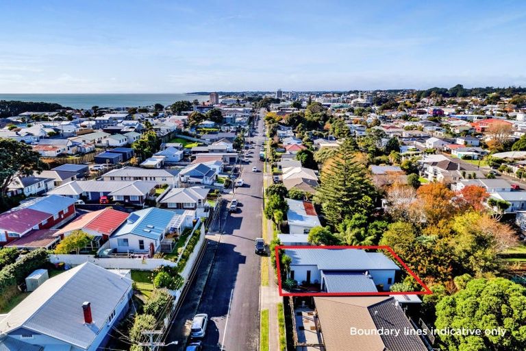 Photo of property in 113 Young Street, New Plymouth, 4310