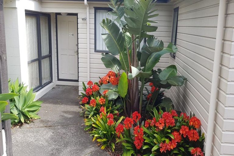 Photo of property in 8b Schnapper Rock Road, Schnapper Rock, Auckland, 0632