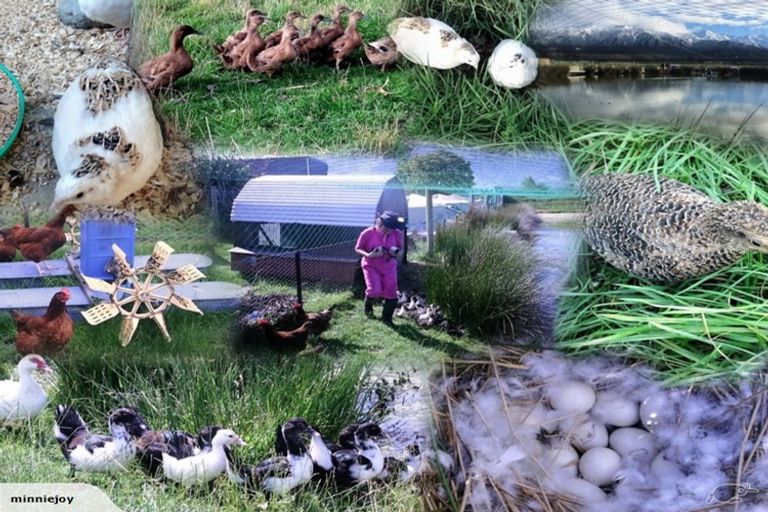 Photo of property in 90 Mill Road, Kaikoura Flat, Kaikoura, 7300