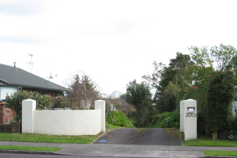 Photo of property in 300a Mangorei Road, Merrilands, New Plymouth, 4312