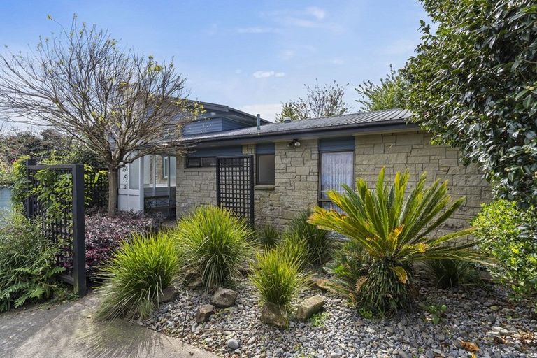 Photo of property in 21 Tynan Street, Te Puke, 3119