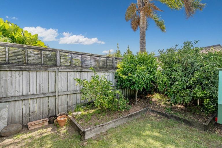 Photo of property in 11 Dotterel Place, Whitianga, 3510