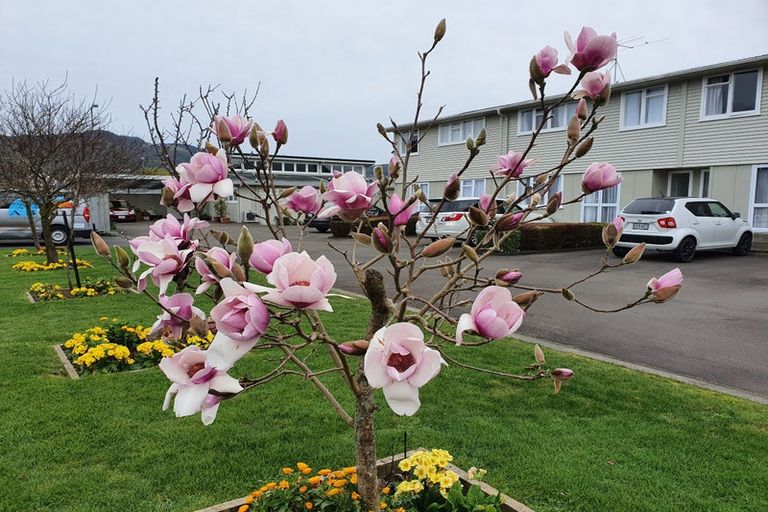 Photo of property in 20 Fire Station Lane, Trentham, Upper Hutt, 5018