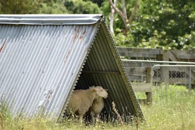 Photo of property in 177 Tapps Road, Canvastown, Havelock, 7178