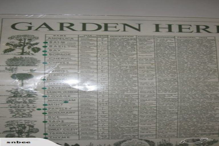 Photo of property in 12 Tapuhikura Street, Waikanae, 5036