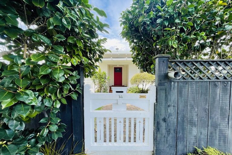 Photo of property in 14 Hanlon Crescent, Narrow Neck, Auckland, 0624