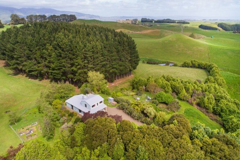 Photo of property in 484 Finnis Road, Pohangina, Feilding, 4775