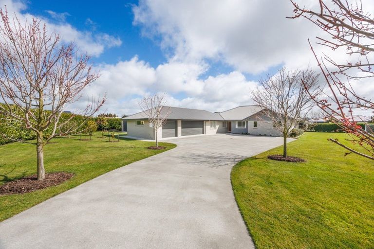 Photo of property in 25 Roots Street East, Feilding, 4702