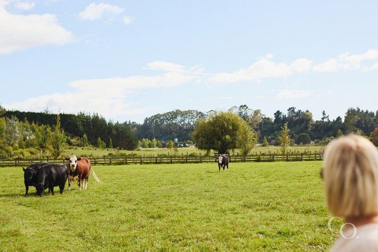 Photo of property in 56e Te Puna Road, Te Puna, Tauranga, 3174