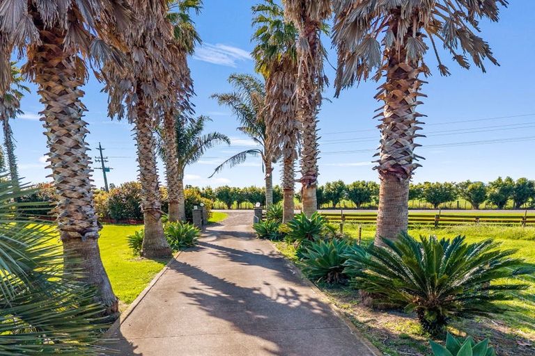 Photo of property in 274 Te Rahu Road, Poroporo, Whakatane, 3193