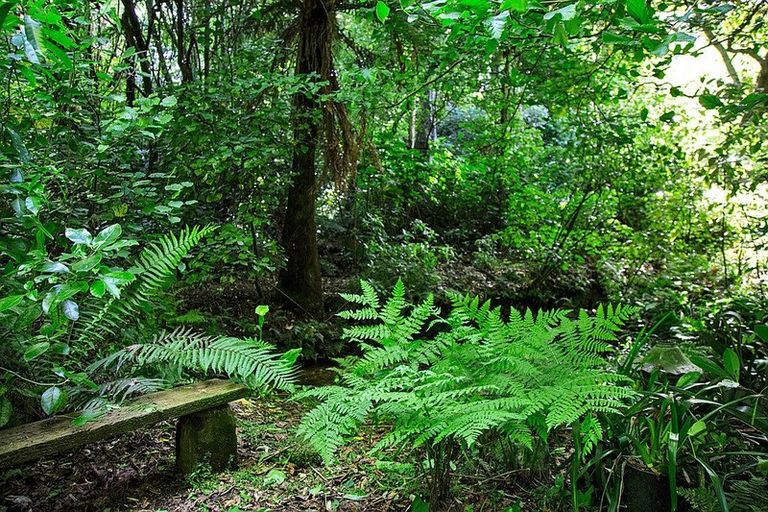 Photo of property in 1 High Road, Hawera, 4610