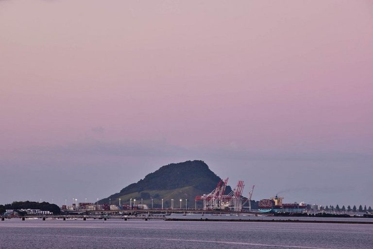 Photo of property in 260 Maungatapu Road, Maungatapu, Tauranga, 3112