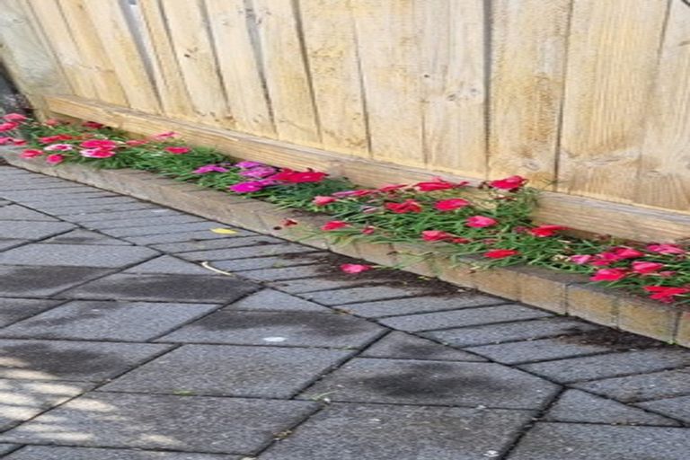 Photo of property in 1/7 Thurston Place, Bucklands Beach, Auckland, 2012