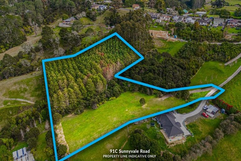 Photo of property in 91 Sunnyvale Road, Massey, Auckland, 0614