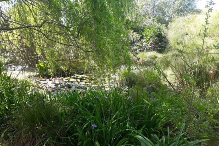 Photo of property in 384 Tara Road, Mangawhai, Kaiwaka, 0573