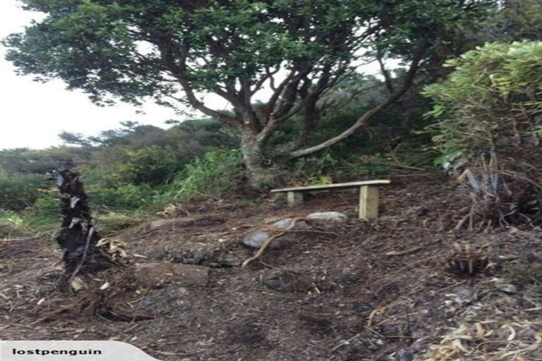 Photo of property in 14 Pacific Drive, Tairua, 3508