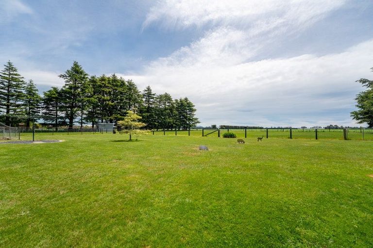 Photo of property in 231 Divan Road, Levels, Timaru, 7975