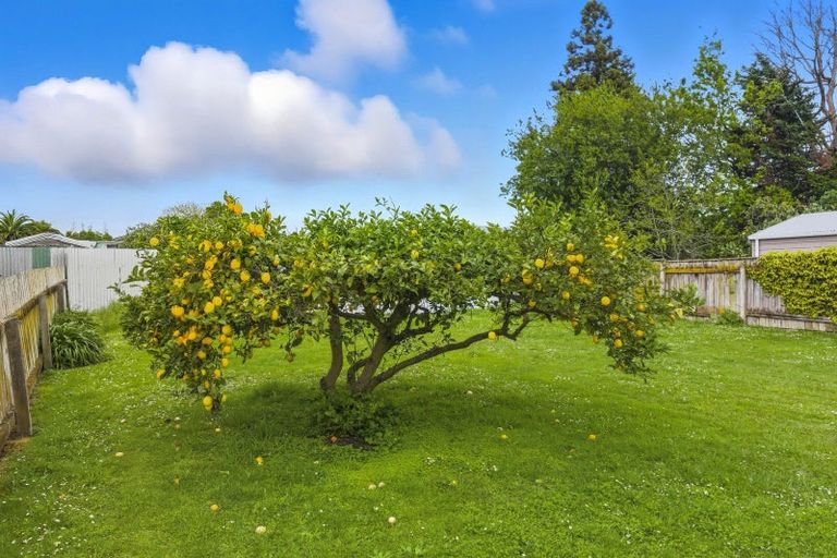 Photo of property in 4 Julyan Street, Shannon, 4821