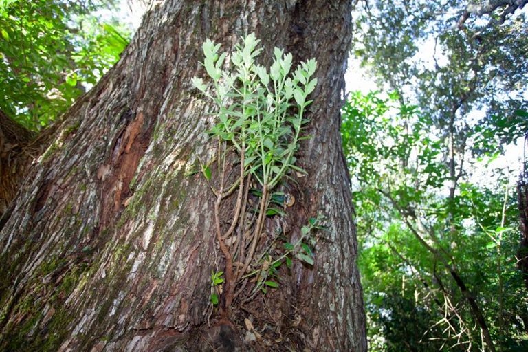 Photo of property in 237 Opoutere Road, Opoutere, Whangamata, 3691