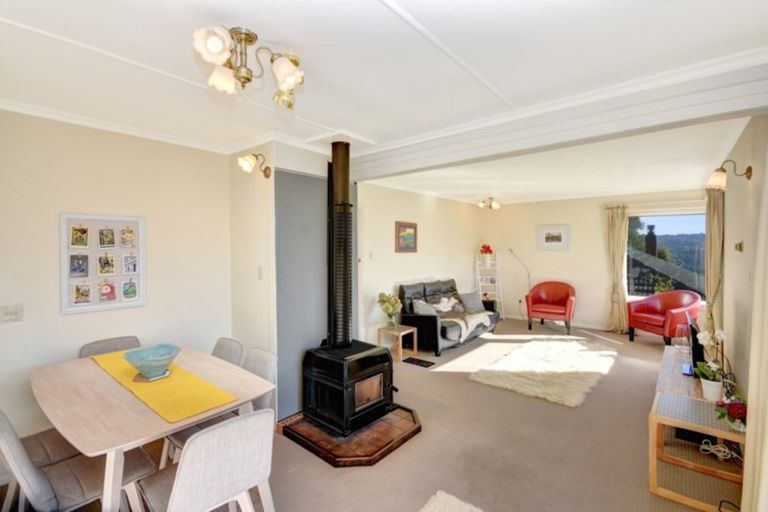 Photo of property in 203 Signal Hill Road, Opoho, Dunedin, 9010