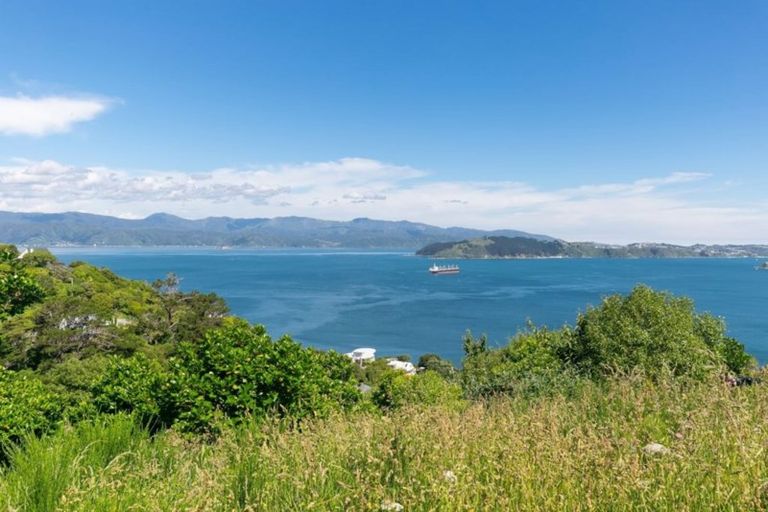 Photo of property in 125 Nicholson Road, Khandallah, Wellington, 6035