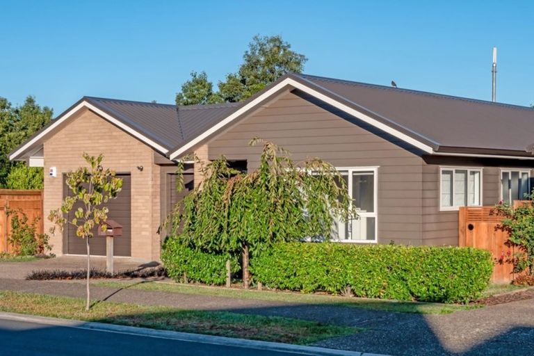 Photo of property in 115 Landing Drive, Pyes Pa, Tauranga, 3112