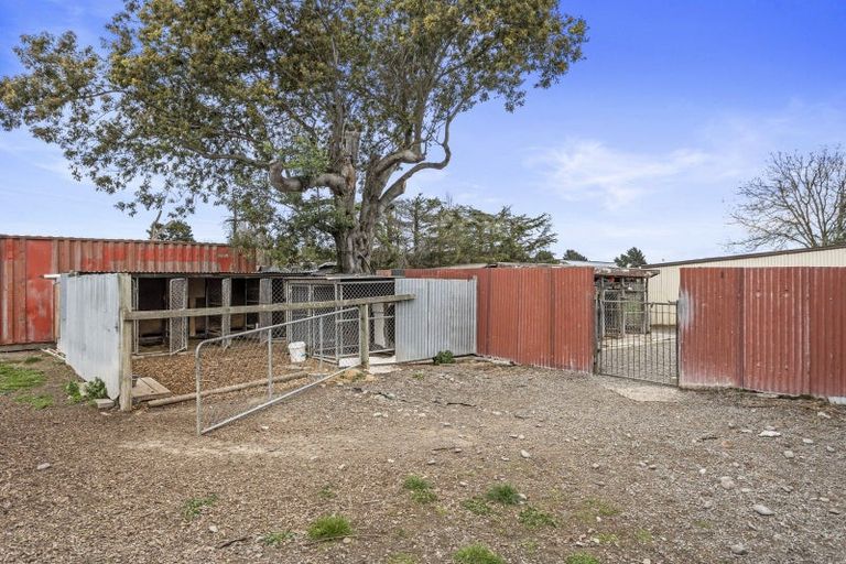 Photo of property in 176 Amberley Beach Road, Amberley, 7481