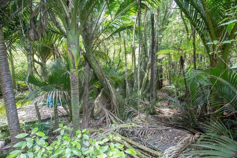 Photo of property in 12 Hartmount Place, Te Miko, Punakaiki, 7871