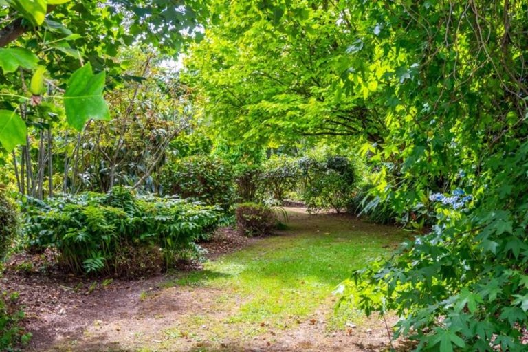 Photo of property in 252 Downs Road, Geraldine Downs, Geraldine, 7991