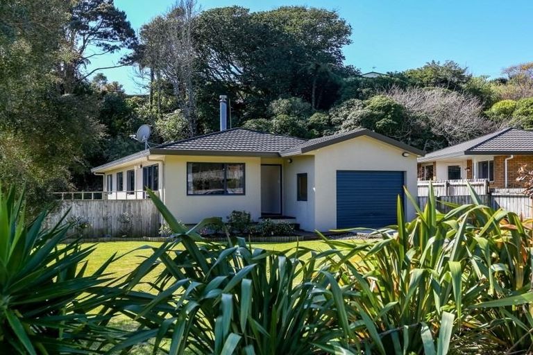 Photo of property in 55 Roto Street, Hurdon, New Plymouth, 4310