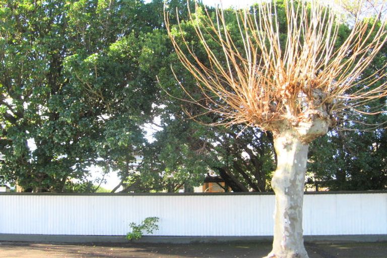 Photo of property in 69 Nelson Crescent, Napier South, Napier, 4110