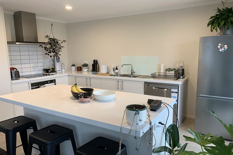 Photo of property in 48 Winchester Street, Merivale, Christchurch, 8014