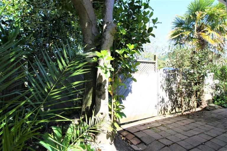 Photo of property in 23a Marlin Place, Whiritoa, Whangamata, 3691
