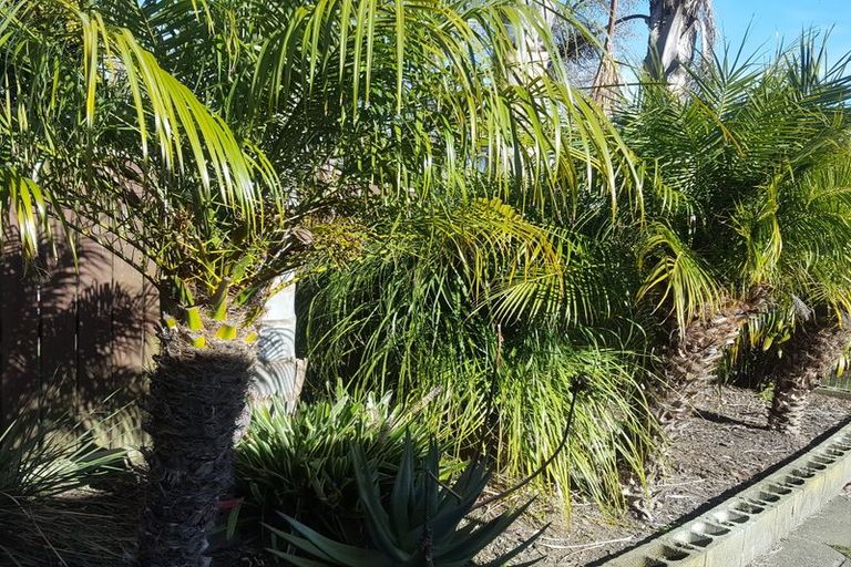 Photo of property in 6 Thompson Crescent, Whakatane, 3120