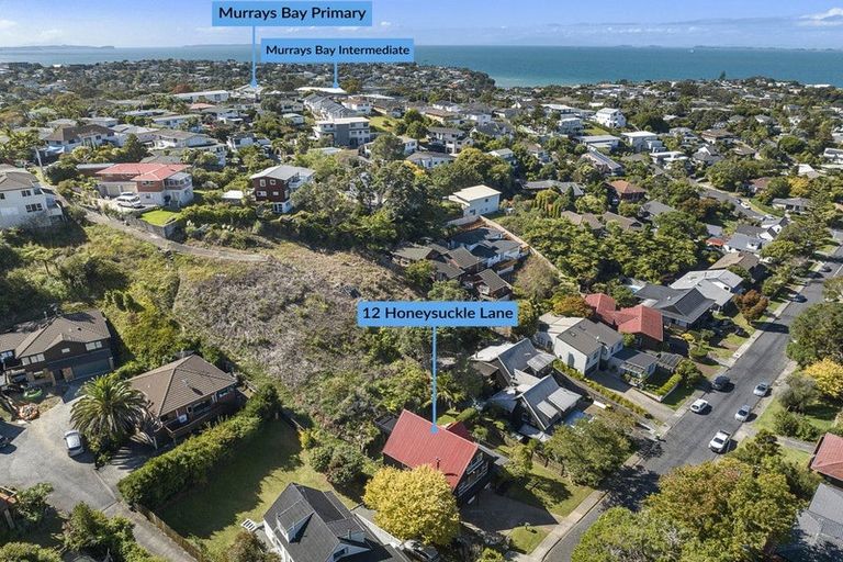 Photo of property in 12 Honeysuckle Lane, Mairangi Bay, Auckland, 0630