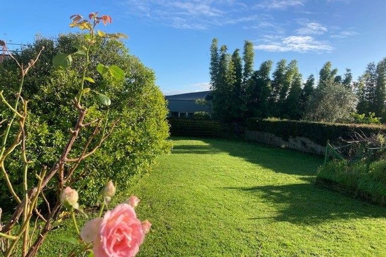 Photo of property in 12 Benders Avenue, Hillcrest, Auckland, 0627