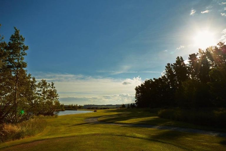 Photo of property in 623 Coleridge Road, Windwhistle, Hororata, 7572