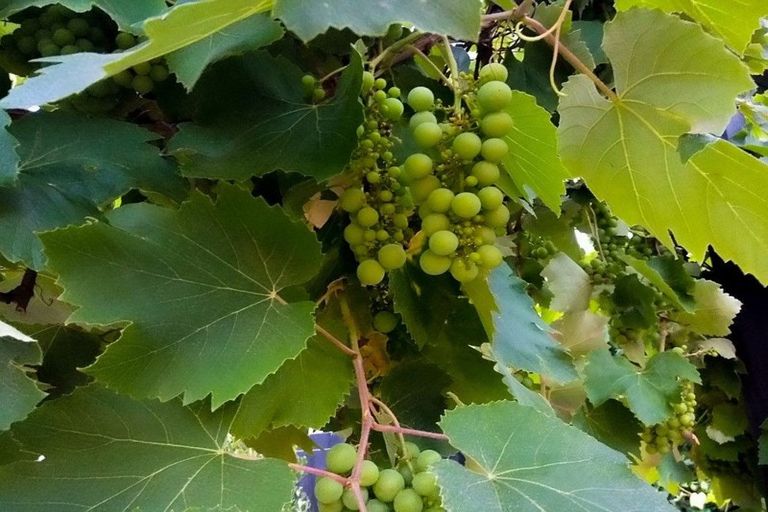 Photo of property in 2/246 Lake Road, Hauraki, Auckland, 0622