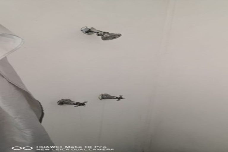 Photo of property in 7 Whakauru Street, Tokoroa, 3420