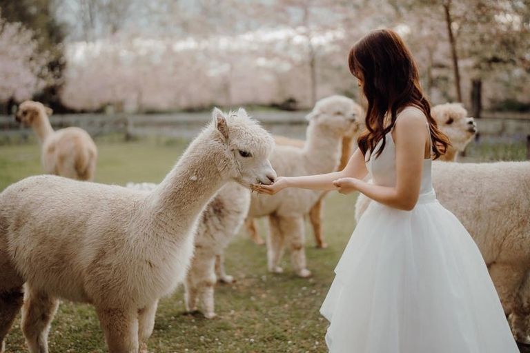 Photo of property in 125 Matangi Road, Matangi, Hamilton, 3284