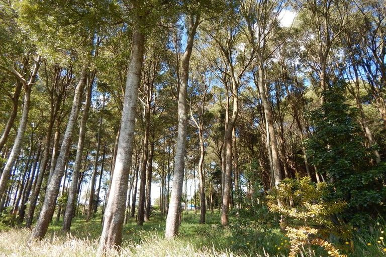 Photo of property in 215 Sandys Road, Waipapa, Kerikeri, 0295