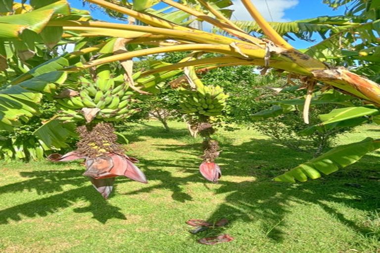 Photo of property in 1543 State Highway 14, Maungatapere, Whangarei, 0179