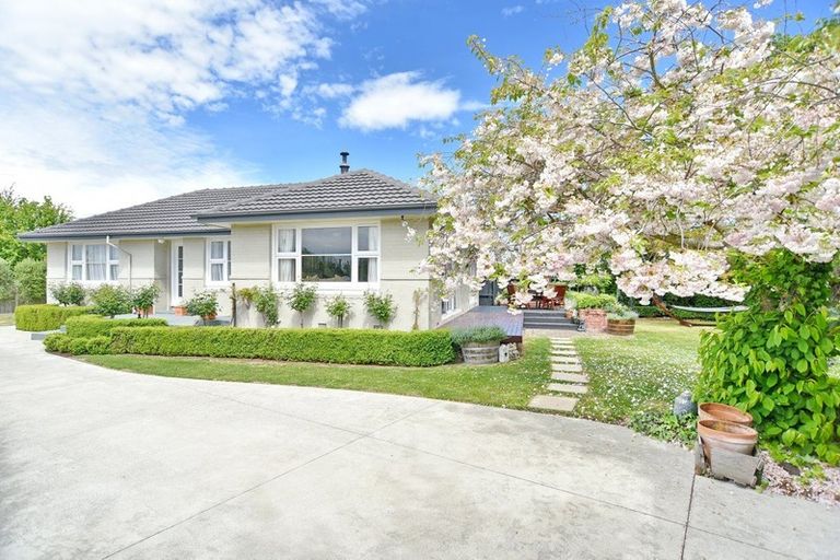 Photo of property in 39 Flower Street, Bryndwr, Christchurch, 8053