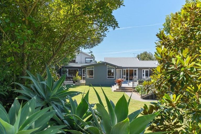 Photo of property in 12a Sycamore Grove, Lower Vogeltown, New Plymouth, 4310