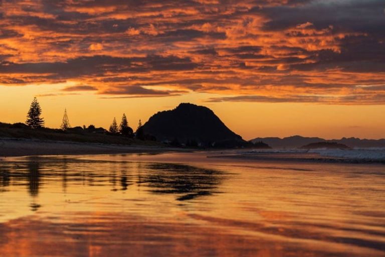 Photo of property in 6a Sunbrae Grove, Mount Maunganui, 3116