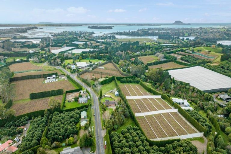 Photo of property in 62 Plummers Point Road, Whakamarama, Tauranga, 3172