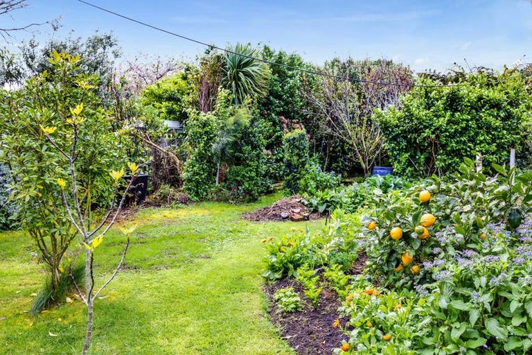 Photo of property in 77 Kapuni Street, Manaia, 4612