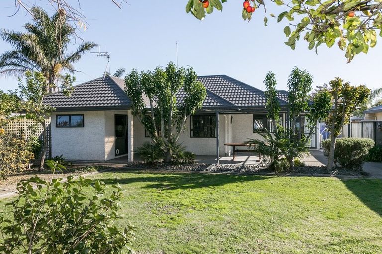 Photo of property in 17 Bucksburn Place, Greenmeadows, Napier, 4112