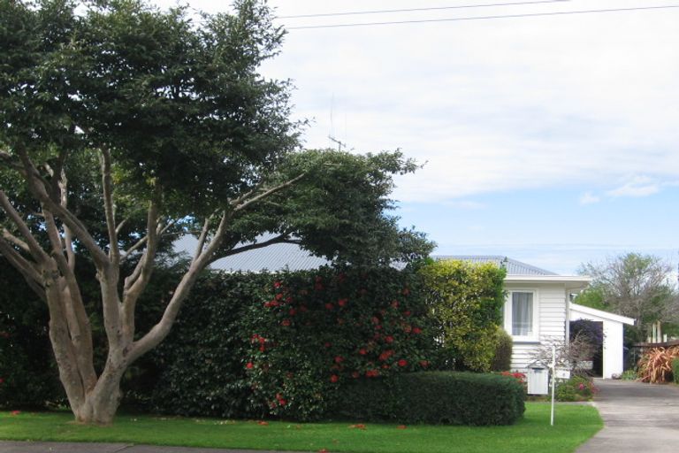 Photo of property in 8 Collingwood Street, Judea, Tauranga, 3110